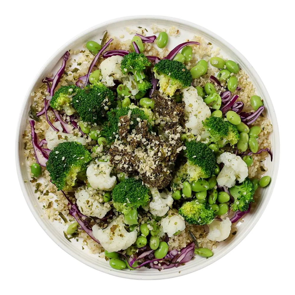 Neuro Fuel